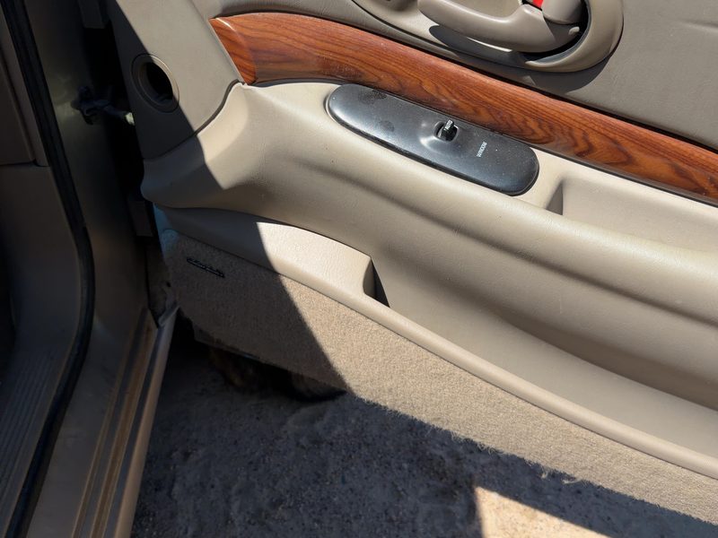 2000-2002 Buick Lesabre (80 & Up) Front Door Trim Panel RH