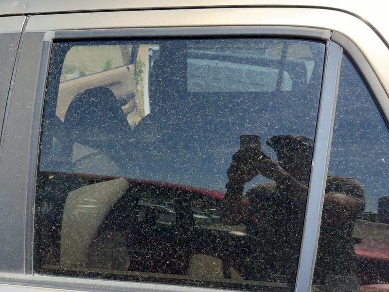 2002-2006 Honda Crv Rear Door Glass/Window LH